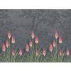 Little Greene Upper Brook Street - Minuit
