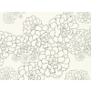 Paint & Paper Library Aeonium - Clean White