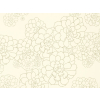 Paint & Paper Library Aeonium - Wattle