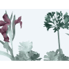 Paint & Paper Library Aloe Walk - Ice