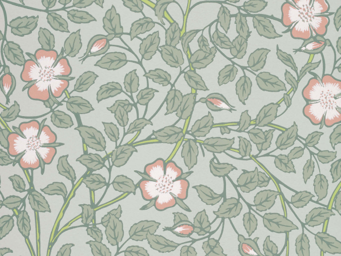 Little Greene Briar Rose - Salix behang met bloemen en bladeren 