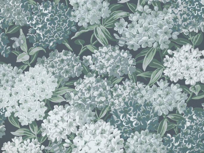 Little Greene Rhododendron Walk - Hicks' Blue