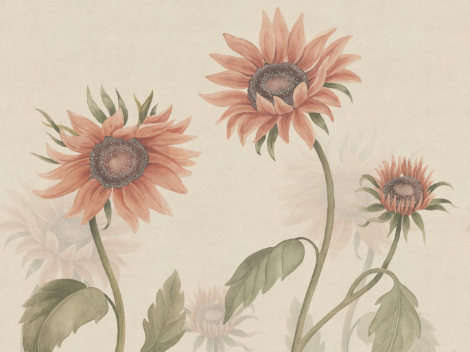 Sandberg Sunflowers - Peach