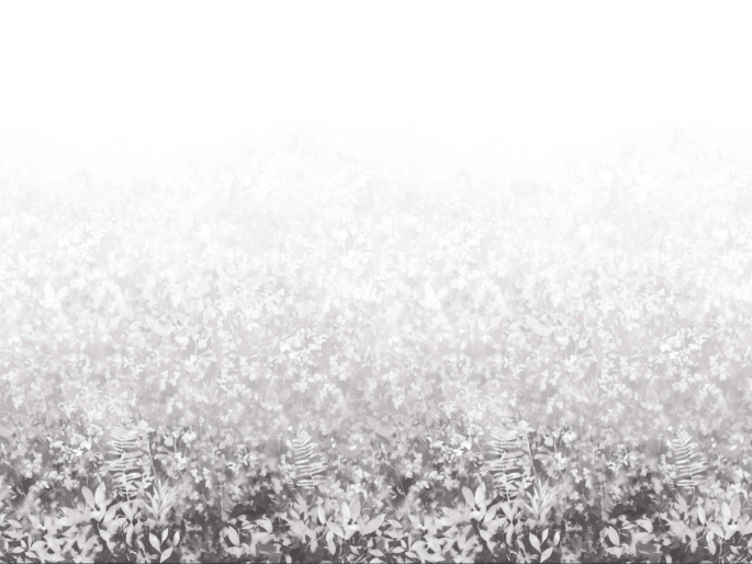 Paint & Paper Library Folia - Perse Grey