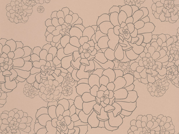 Paint & Paper Library Aeonium - Temple