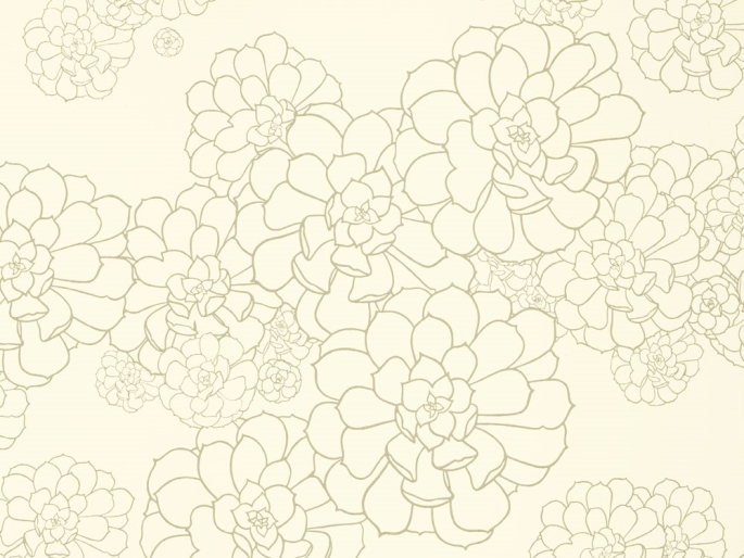 Paint & Paper Library Aeonium - Wattle