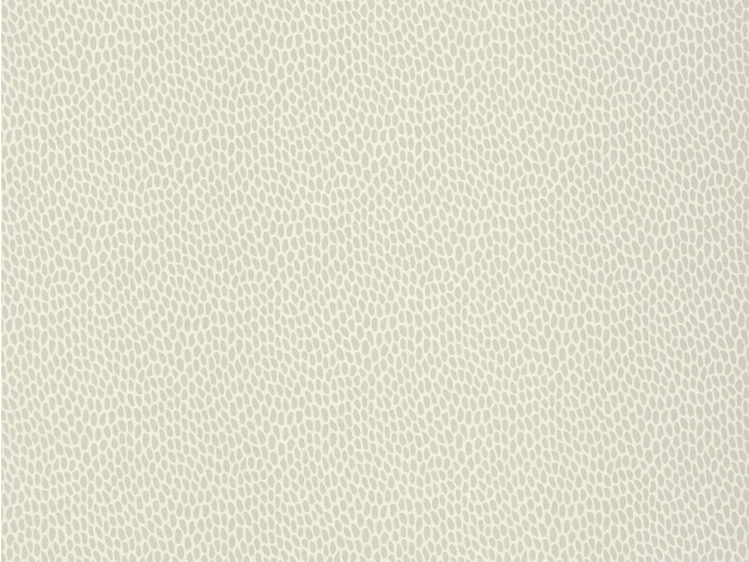 Paint & Paper Library Seedpod - Wattle