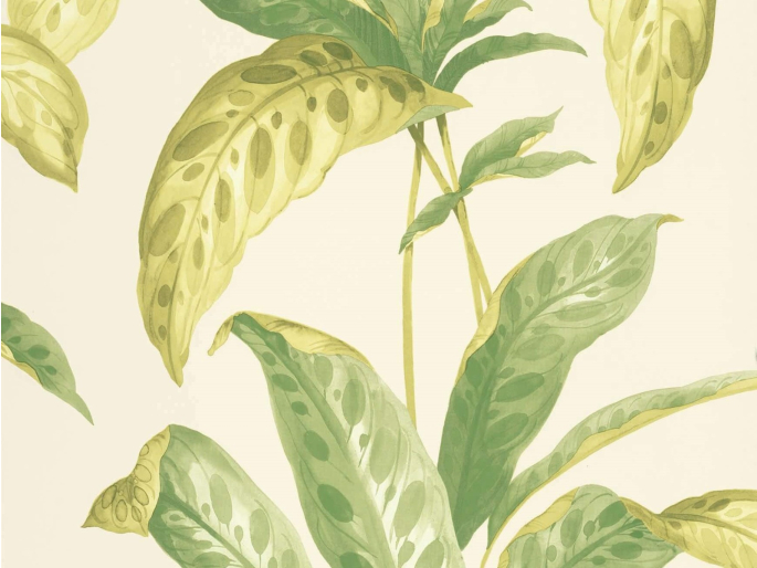 Paint & Paper Library Tropicane - Chelsea Green II