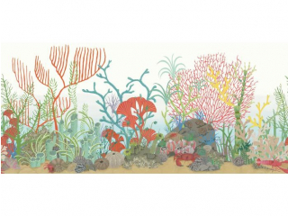 Cole & Son Archipelago Border - 103/12054
