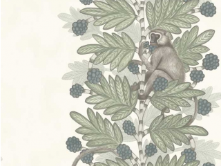 Cole & Son Acacia - 109/11052