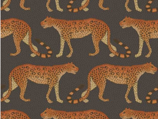Cole & Son Leopard Walk - 109/2008