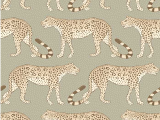 Cole & Son Leopard Walk - 109/2009