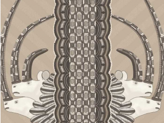 Cole & Son Jabu - 109/3013