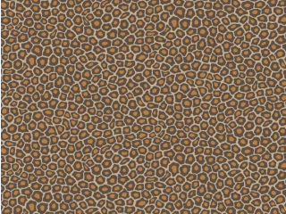 Cole & Son Senzo Spot - 109/6027