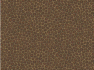 Cole & Son Senzo Spot - 109/6028