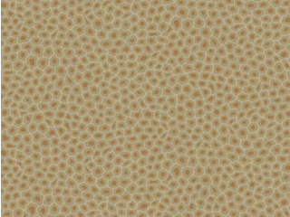 Cole & Son Senzo Spot - 109/6029