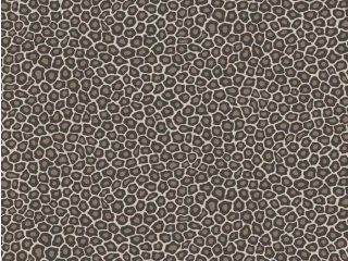 Cole & Son Senzo Spot - 109/6031