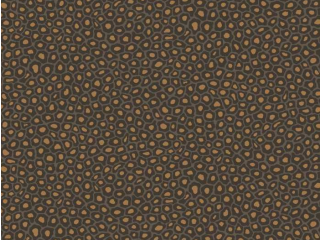 Cole & Son Senzo Spot - 109/6032