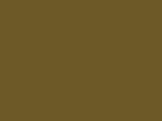 Little Greene - Light Bronze Green 123