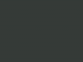 Paint & Paper Library Pure Flat Emulsion - New Black 126