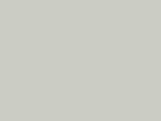 Paint & Paper Library Pure Flat Emulsion - Cotton V 135