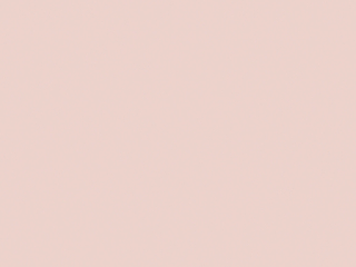 Little Greene - Pink Slip 220