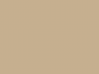Paint & Paper Library Pure Flat Emulsion - Leather V 235