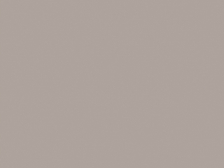 Little Greene - Perennial Grey 245