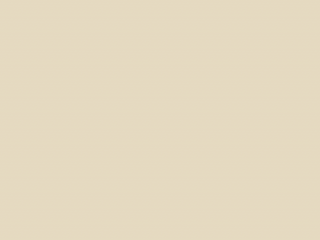 Paint & Paper Library Pure Flat Emulsion - Sand IV 264