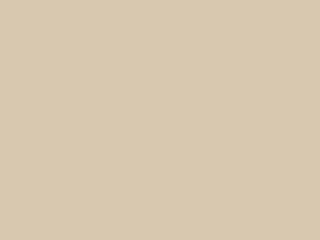 Paint & Paper Library Pure Flat Emulsion - Sand V 265