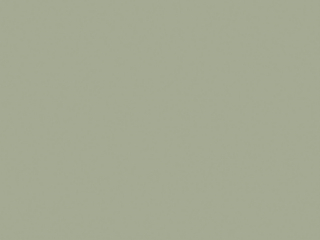 Little Greene - Boringdon Green 295