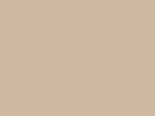 Paint & Paper Library Pure Flat Emulsion - Powder V 295