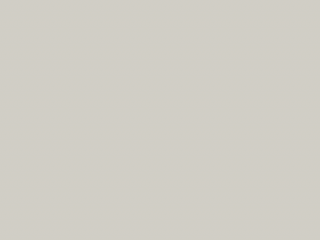 Paint & Paper Library Pure Flat Emulsion - Salt III 333