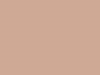 Paint & Paper Library Pure Flat Emulsion - Roben's Honour 344