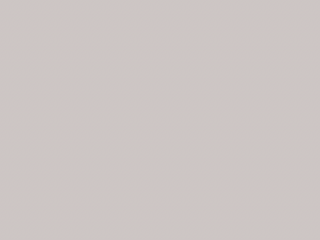 Paint & Paper Library Pure Flat Emulsion - Marble V 365