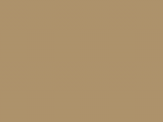 Paint & Paper Library Pure Flat Emulsion - Caddie 452