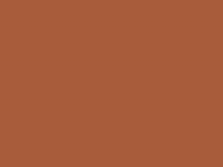 Paint & Paper Library Pure Flat Emulsion - Caravan 453