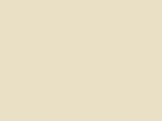 Paint & Paper Library Pure Flat Emulsion - Cashmere IV 494