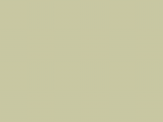 Paint & Paper Library Pure Flat Emulsion - Willow V 535