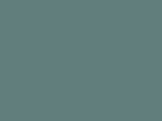 Paint & Paper Library Pure Flat Emulsion - Iguana 551