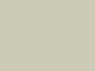 Paint & Paper Library Pure Flat Emulsion - Wattle IV 564