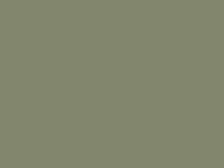 Paint & Paper Library Pure Flat Emulsion - Sencha 569