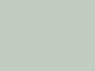 Paint & Paper Library Pure Flat Emulsion - Glass IV 584
