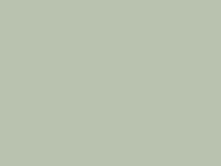 Paint & Paper Library Pure Flat Emulsion - Sobek 587