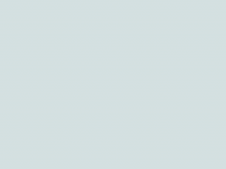 Paint & Paper Library Pure Flat Emulsion - Porcelain III 663