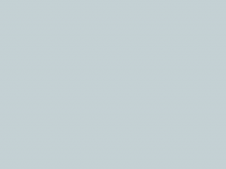 Paint & Paper Library Pure Flat Emulsion - Porcelain IV 664