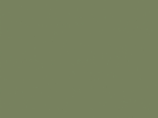 Little Greene - Sage Green 80