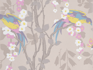 Little Greene Loriini - Dorian