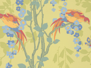 Little Greene Loriini - Jasper
