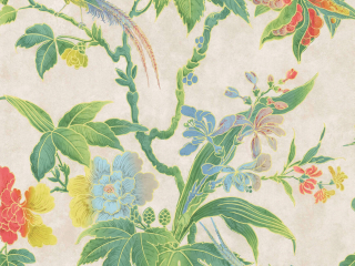 Little Greene Paradise - Feather